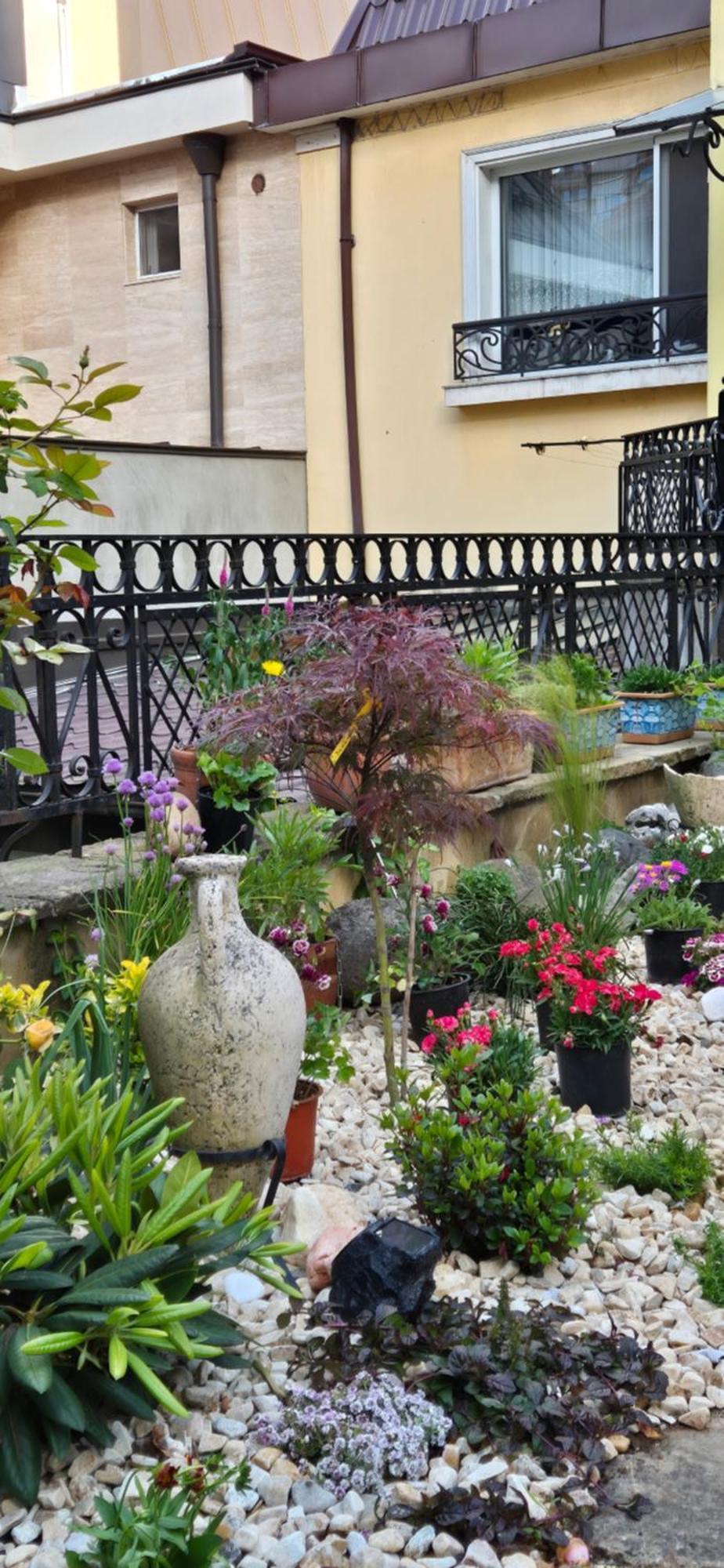Luxury Private House In City Center Veliko Tarnovo Chambre photo
